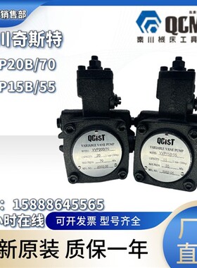 新款VVP20B/55 VVP30B/55 VVP40B/70自动变量现货