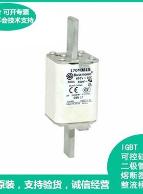 170M3815美国Bussmann170M3815快速熔断器保险丝