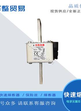 巴斯曼快速熔断器保险丝170M5698 170M5699 170M5700