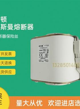 全新快速熔断器保险170M7240 170M7241 170M7242 170M7244