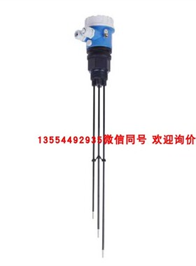 现货 E+H 电导式限位开关FTW31-A1A5CA0Y 杆式探头 原装正品