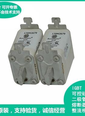 全新原装进口Bussmann保险丝 170M2679  金属690V~700V快断熔断器