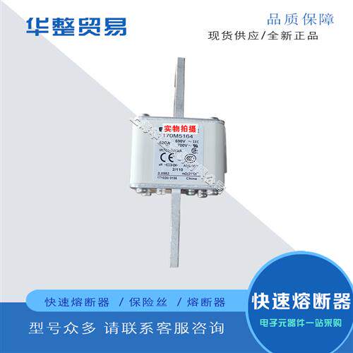 巴斯曼快速熔断器170M5174 170M5175 170M5176 170M5177