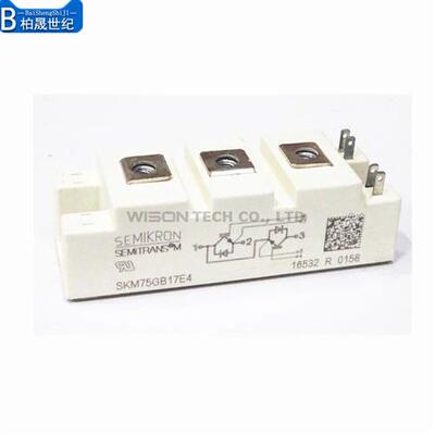 SKM75GB17E4 SKM100GB17E4 SKM150GB17E4 SKM75GB17E4H16西门康