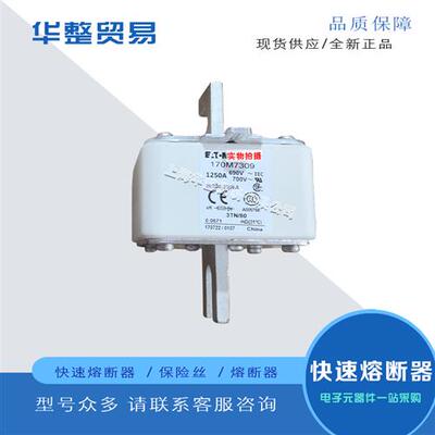 巴斯曼快速熔断器170M7597 170M7676 170M7532 170M7592
