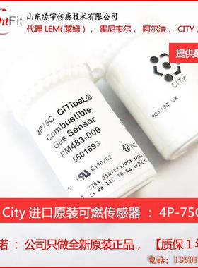 4P-75C甲烷4P-90可燃4P-90C气体传感器BW仪表进口CAT25