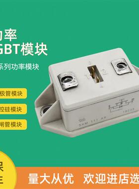 全新功率IGBT模块SKM300MLI066TATSKM111AR SKM111RZR