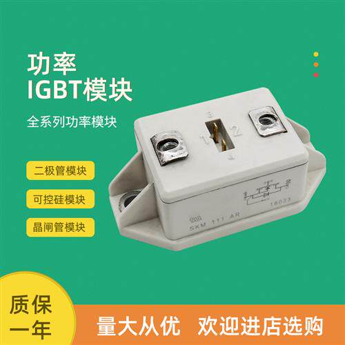 全新功率IGBT模块SKM300MLI066TATSKM111AR SKM111RZR