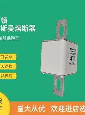 全新快速熔断器保险170M5695 170M5696 170M5697 170M5698