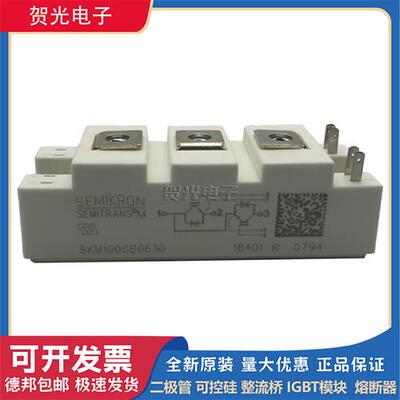 SKM150GB063D SKM200GB063D SKM300GB063D IGBT模块SKM100GB063