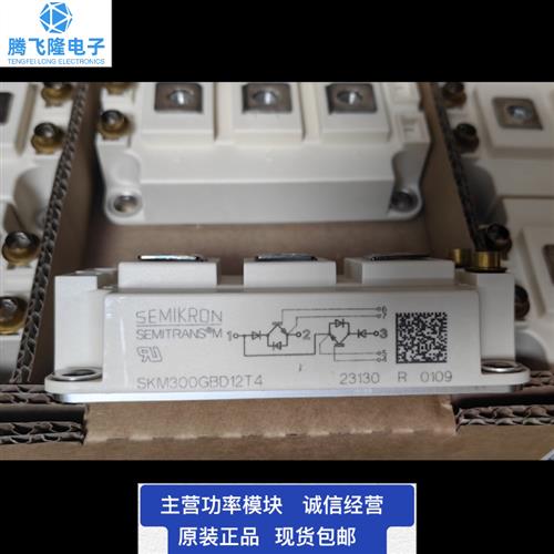 SKM200GBD12T4 SKM300GBD12T4 200GBD300GDB 126D 200GBD123D1S询