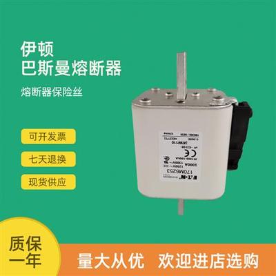全新快速熔断器保险170M6203 170M6204 170M6205 170M6206