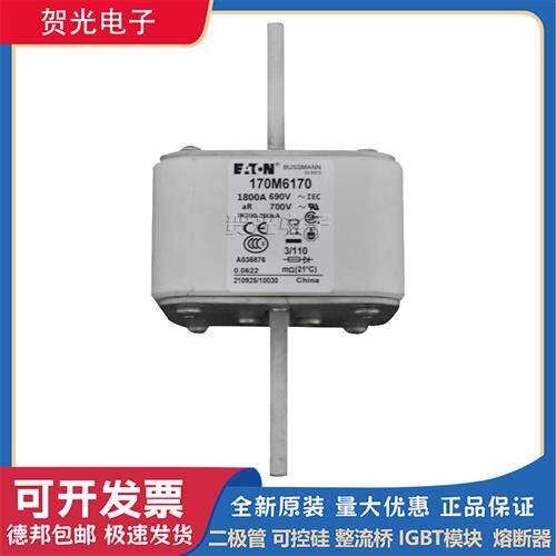 熔断器170M6158/6159/6160/6162/6163/6165/6166/6168/6170