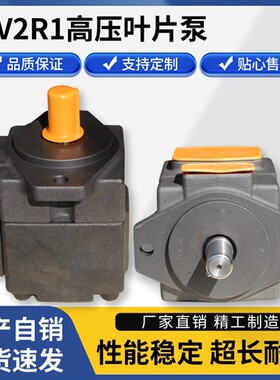 新款高压叶片泵PV2R1液压油泵PV2R2定量液压帮浦头PV2R3总成配现