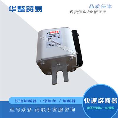 巴斯曼全新原装快速熔断器170M6242 170M6243 170M6244