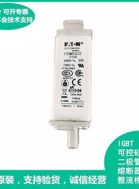 170M1572美国Bussmann170M1572快速熔断器保险丝