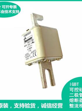 全新原装正品美国伊顿Bussmann快速熔断器170M3020现货供应