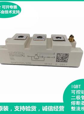 SKM100GAR123D SKM100GAR17E4 IGBT模块 极速发货 现货可直拍