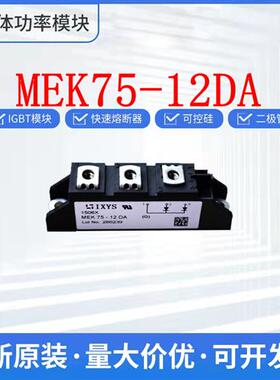 艾赛斯MEK75-12DA MEK95-06DA  MEK150-04DA MEK250-12DA 二极管