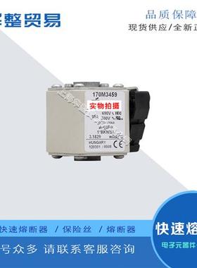 巴斯曼全新原装快速熔断器170M3458 170M3459 170M3460