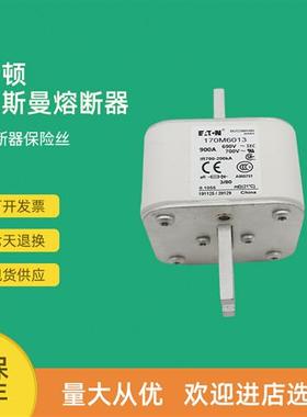 全新快速熔断器保险170M6013 170M6014 170M6015 170M6016