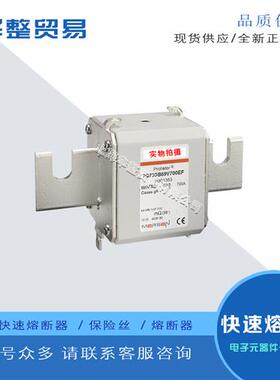 全新快速熔断器PC73GB69V630TF A301346 PC73GB69V700TF B301347