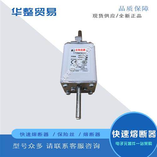 巴斯曼全新原装快速熔断器170M3955 170M3956 170M3957,运动/瑜伽/健身/球迷用品,训练花剑整剑,淘宝优惠券,粉丝福利购,淘宝优惠卷