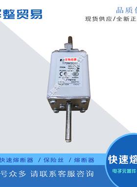 巴斯曼全新原装快速熔断器170M3955 170M3956 170M3957