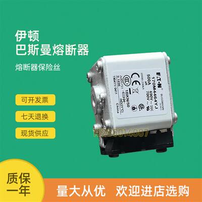 全新快速熔断器保险170M4493 170M4494 170M4495 170M4496