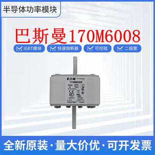 原装 170M6012 170M6013 170M6014 170M6015巴斯曼 熔断器 保险丝