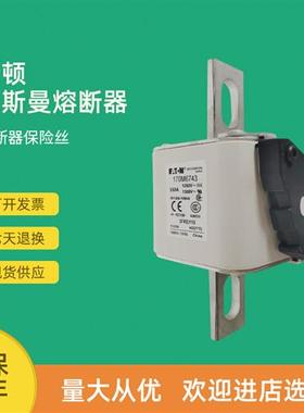 全新快速熔断器保险170M6799 170M6800 170M6801 170M6802