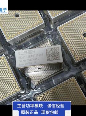 SKIIP11NAB 12NAB 13NAB 14NAB 22NAB 24NAB12T4V1  126V1