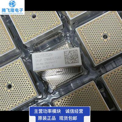 SKIIP11NAB 12NAB 13NAB 14NAB 22NAB 24NAB12T4V1  126V1