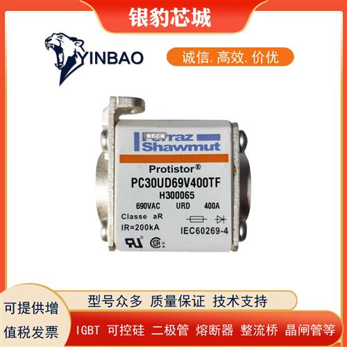 议价PC30UD69V100A G300110 PC30UD69V125A H300111全新熔断器现