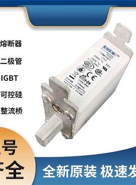 巴斯曼170M1561快速熔断器 保险丝 极速发货 现货可直拍