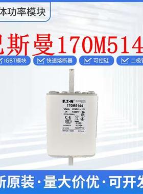 巴斯曼170M5144 170M5145 170M5146 170M5147 熔断器 保险丝