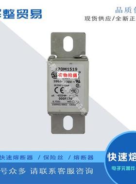 巴斯曼快速熔断器170M1515 170M1517 170M1518 170M1519