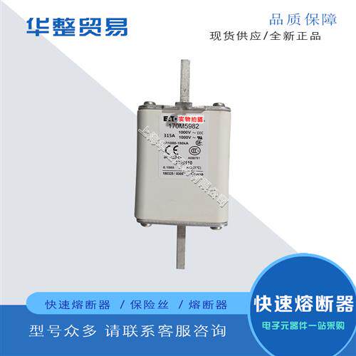 巴斯曼全新熔断器170M4988 170M4989 170M5981 170M5982 170M5983