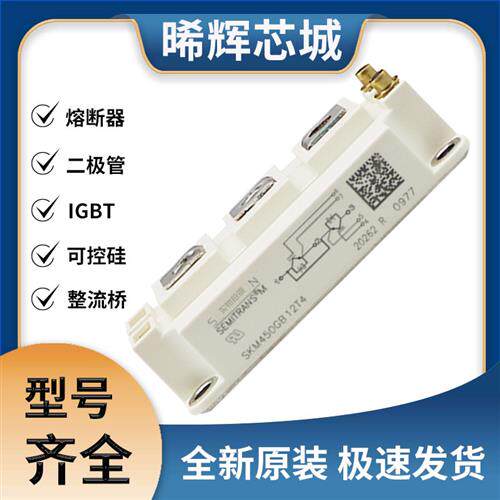SKM450GB12T4 IGBT 可控硅 晶闸管模块 极速发货 现货可直拍