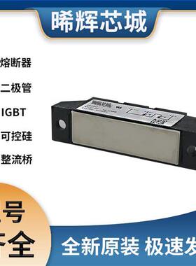 艾赛斯 MCC95-16io8B MCC95-18io1B MCC95-18io8B 可控硅 模块