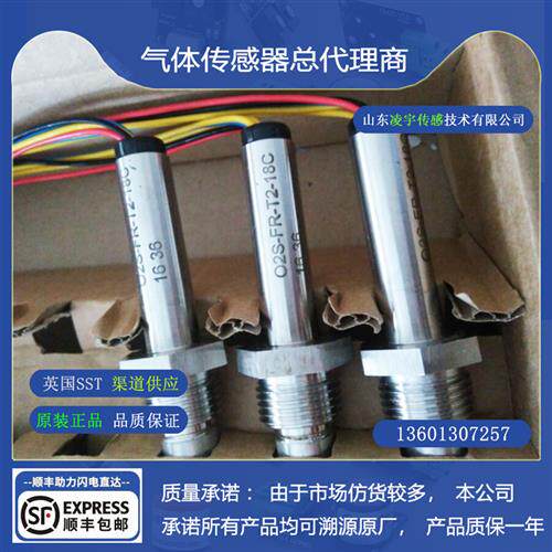 O2S-FR-T2棒式氧化锆氧传感器 O2S-FR-T2-18C 现货 O2S-FR-T2-18B
