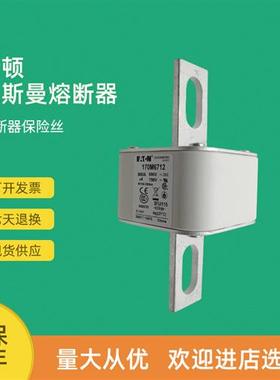 全新快速熔断器保险170M6215 170M6216 170M6217 170M6218