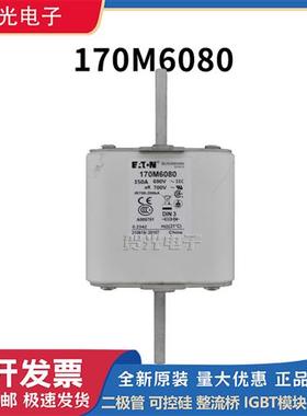 全新原装170M6080/170M6081/170M6163  快速熔断器