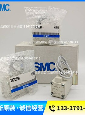 SMC全新原装电磁阀VX210JZ1B VX210JA VX210JE VX210AG VX210AGXB