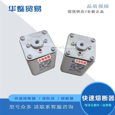 巴斯曼全新原装快速熔断器保险丝170M4973 170M4974