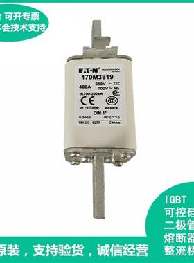 全新170M3819美国Bussmann170M3819快速熔断器保险丝