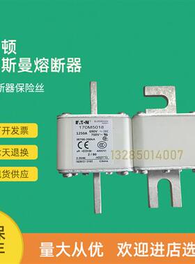 全新快速熔断器保险170M5008 170M5009 170M5010 170M5011
