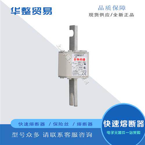 巴斯曼全新原装正品快速熔断器保险丝170M3214 170M3215 170M3216
