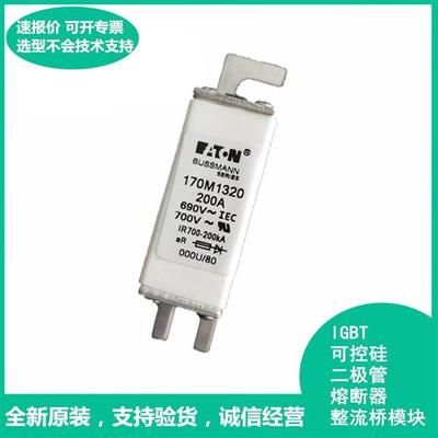 170M1320全新美国mann巴斯曼170M1320快速熔断器保险丝