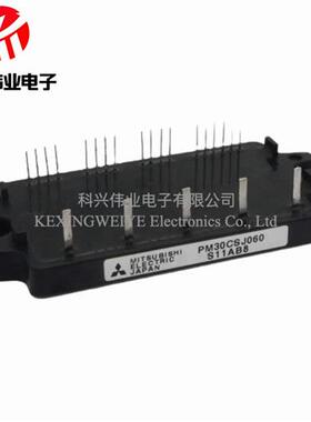 PMZDA10CSJ0660PM15CSJ060 PM20CSJ60 PM30CSJ00 0PM20CN J060